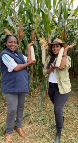 Farmers Yield Africa Extension Results