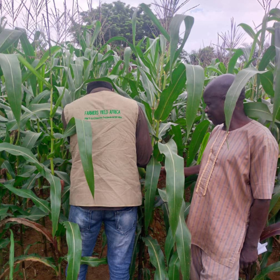Farmers Yield Africa Services